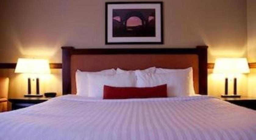Best Western Diamond Inn Three Hills Luaran gambar