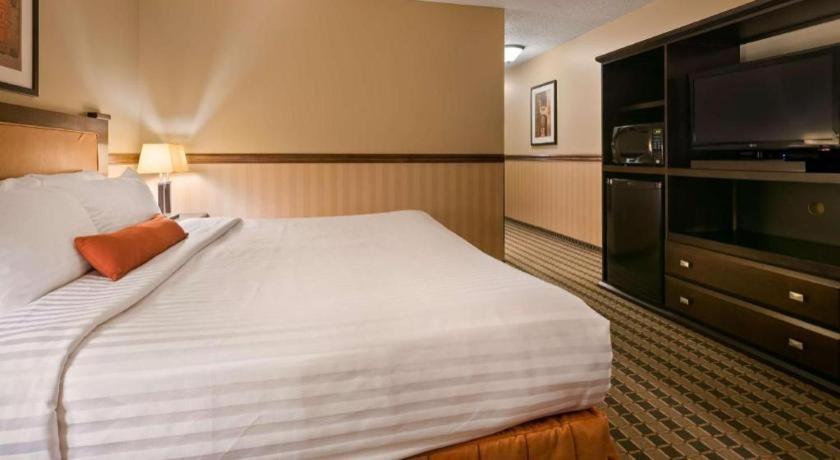 Best Western Diamond Inn Three Hills Luaran gambar